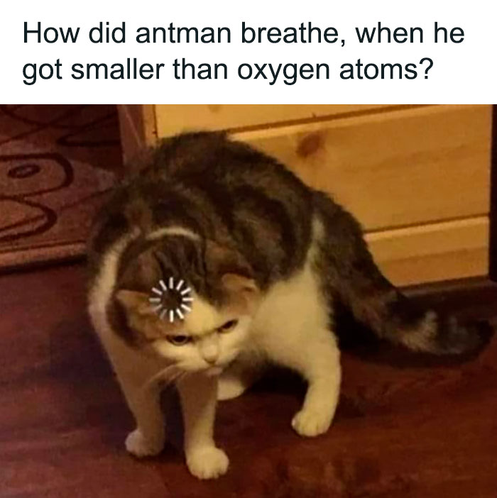 Cat crouching with loading symbol on head, illustrating a funny science joke about Antman and oxygen atoms.
