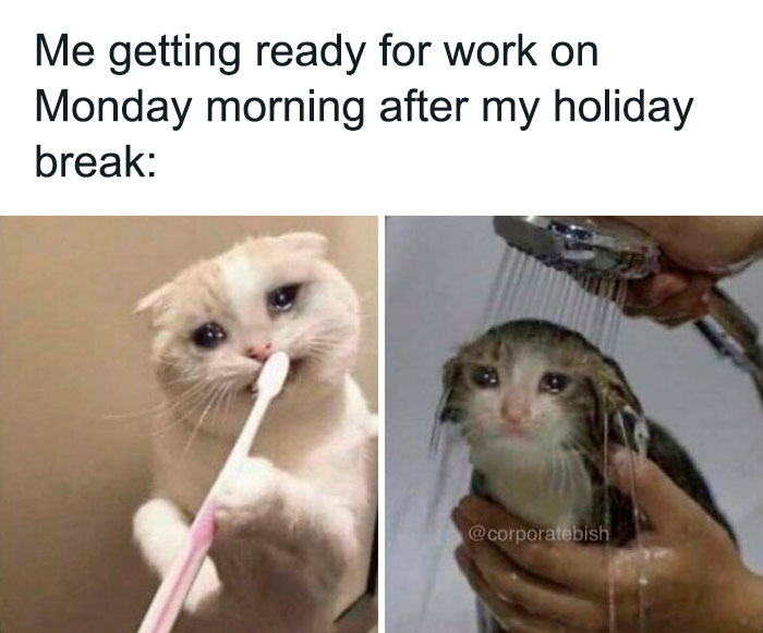 😭😭😩
.
#corporatelife #corporatememes #corporate #bish #corporatebish #memesdaily #officememes #workmemes #worklife #memes #corporatemillennial #workjokes #officejokes #workhumor #workfromhomememes #workplacememes #corporatehumor #officelife #millennial #millennialmemes #millennials #holidaymemes #worksucks #ihatework #mondayblues #saveme #thestruggleisreal #holidaybreak #thestruggleisreal