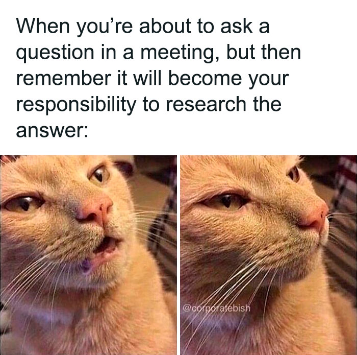 Never Mind
.
#corporatelife #corporatememes #bish #corporatebish #memesdaily #officememes #workmemes #worklife #memes #corporatemillennial #workjokes #officejokes #workhumor #workfromhomememes #workplacememes #corporatehumor #officelife #millennial #millennialmemes #millennials #workplacememes #worksucks #caniretireyet