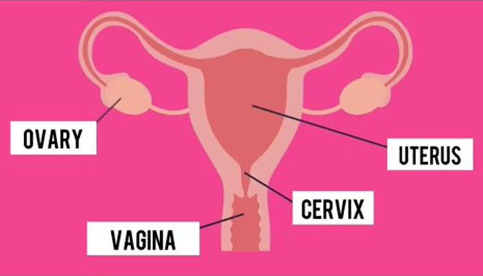 Woman Was Diagnosed With Cervical Cancer 3 Times And Shares The Hard And Joyous Days She Has On TikTok - 15