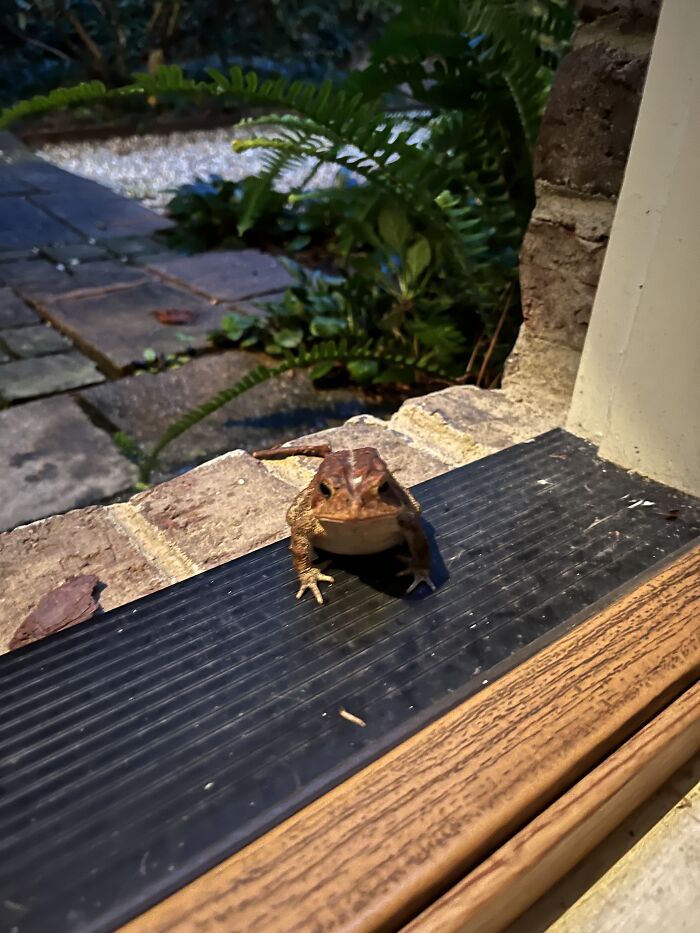 I’m Not Sure What He Was Selling…