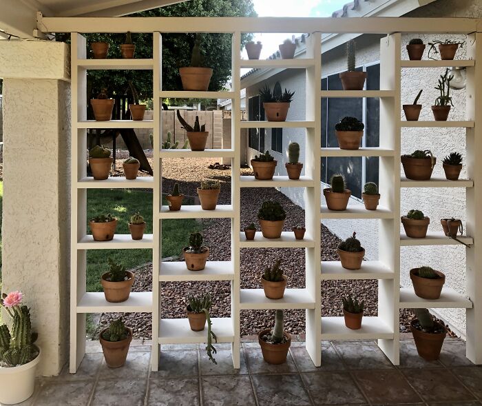 A Lot Of Plant Babies