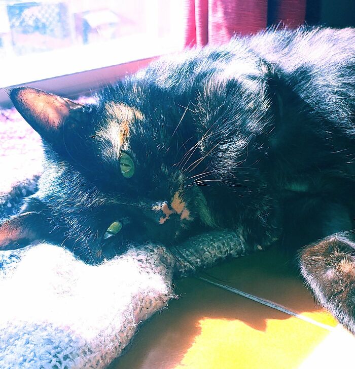 Cinder Looking More Glorious Than Usual