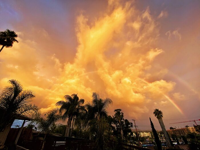 San Diego Rainfest . . Literally Found This From My Front Yard