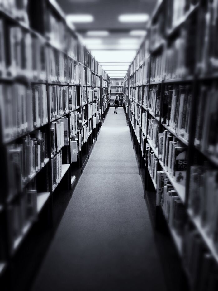 My 3-Year-Old Librarian. Love Books. Freeeee Books