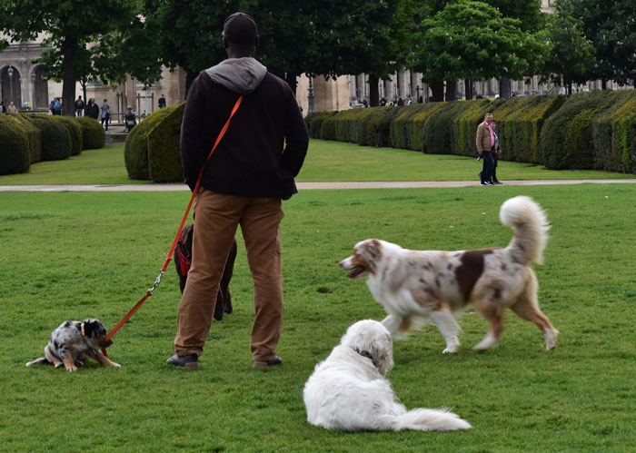 Woman Asks If She&rsquo;s A Jerk For Yelling At Her Niece That The Teen&rsquo;s Dog Is Not Comparable To Her Child