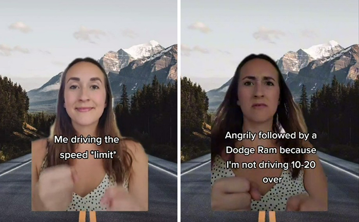 Thenewcomercollective