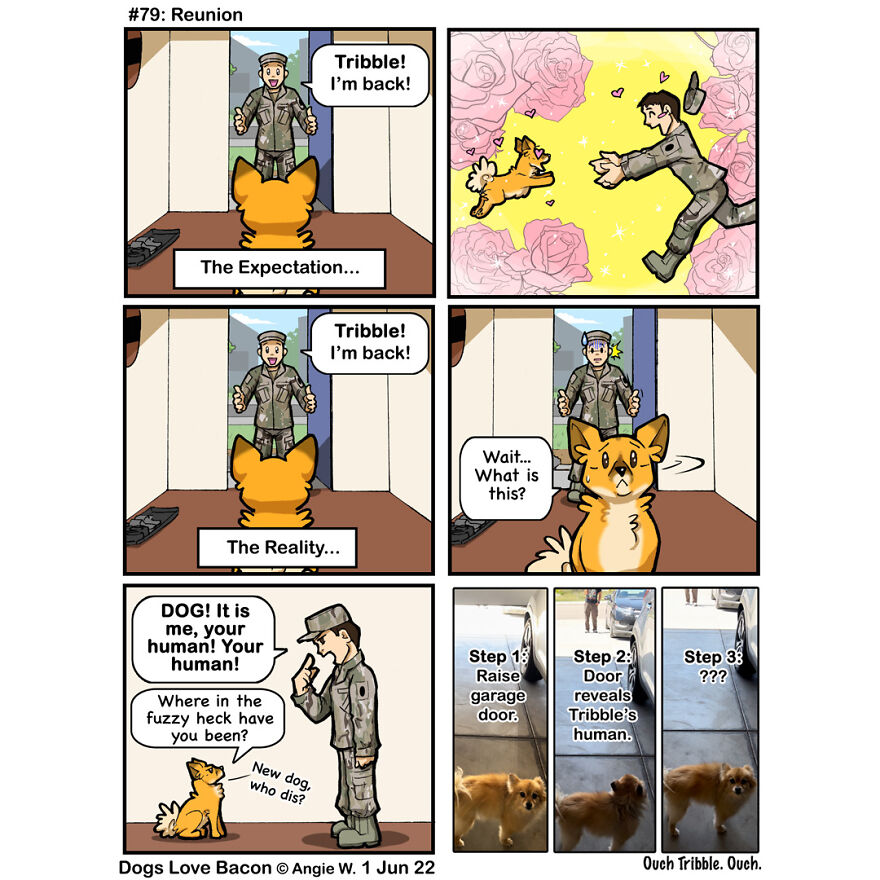 I Draw Comics About My Life With My Rescue Dogs, And Here Are 23 More!