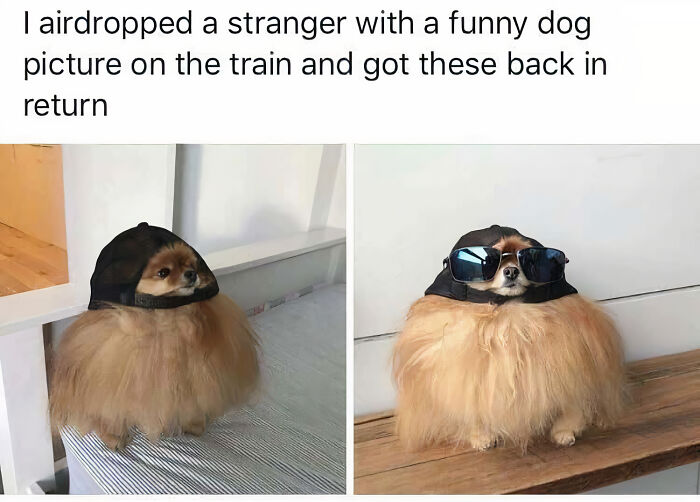 Hoping This Will Happen To Me Someday Lol