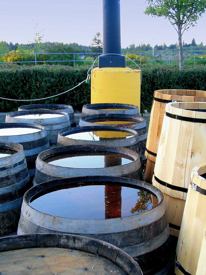 Wooden barrels filled with water outside near a yellow post, illustrating things you may not think of doing but could be committing a crime.