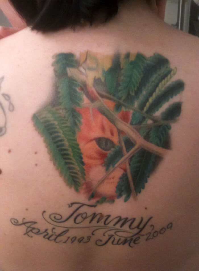 Pet tattoo of a cat's face among leaves with the name "Tommy" and dates on skin.