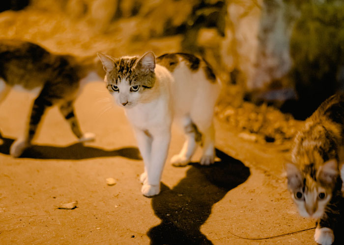 30 People Are Sharing Shockingly Terrifying Things They’ve Witnessed