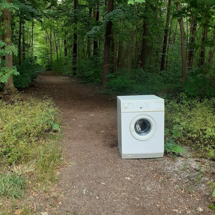 Accidental-Surrealism-Photos