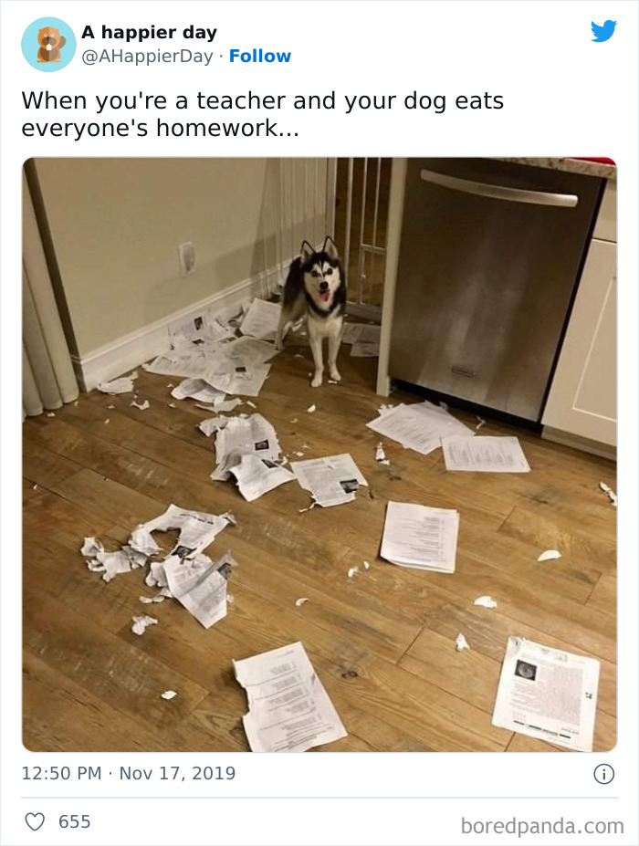 Funny-Tweets-From-Teachers