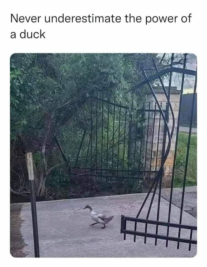 Accidental-Surrealism-Photos