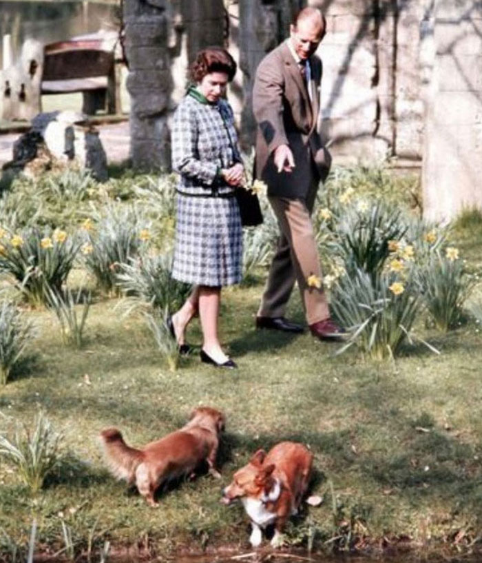 Heartbreaking Moment Of Queen Elizabeth II&rsquo;s Corgis And Her Favorite Pony Awaiting The Arrival Of Her Coffin At Windsor Castle