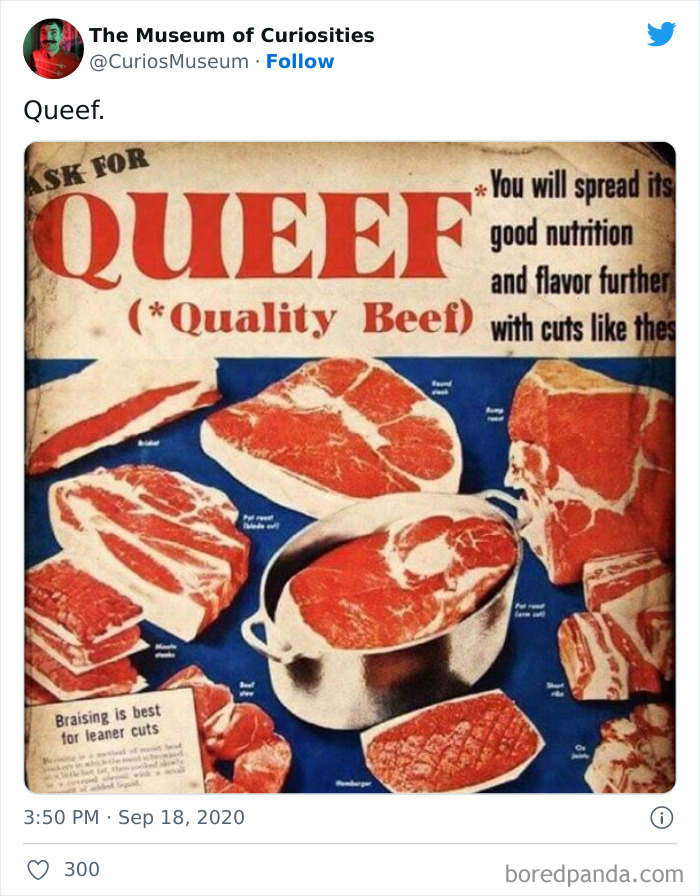 The-Museum-Of-Curiosities