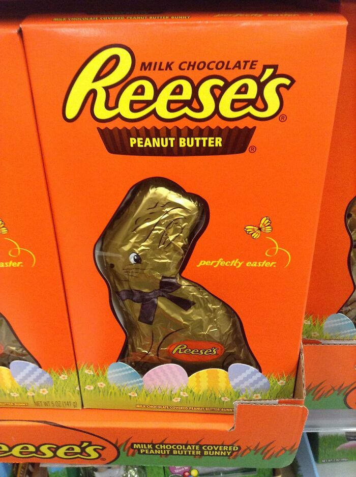 30 Things People Are Certain Of Without A Need To Prove It, As Shared In This Online Thread