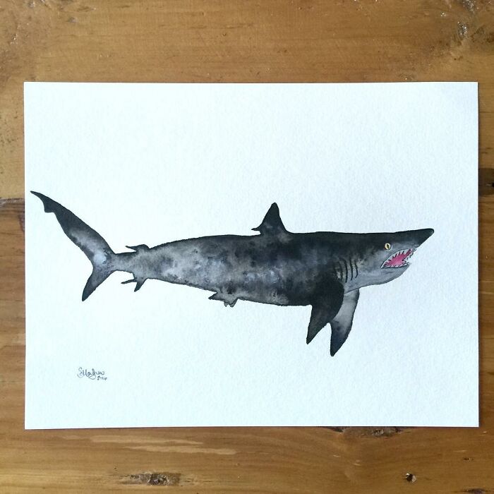 I Create Hyperrealistic Pencil Drawings Of Animals