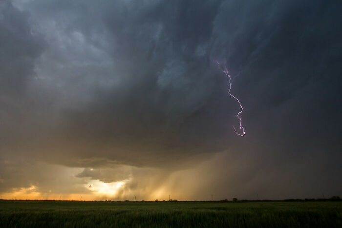 40 Bizarre, Uplifting, Or Straight Up Chucklesome, Yet Unlikely Personal Stories As Shared Online That Are Very Much True