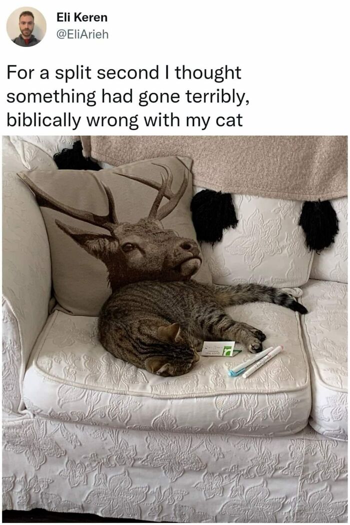 Accidental-Surrealism-Photos