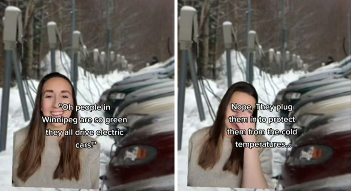 Thenewcomercollective