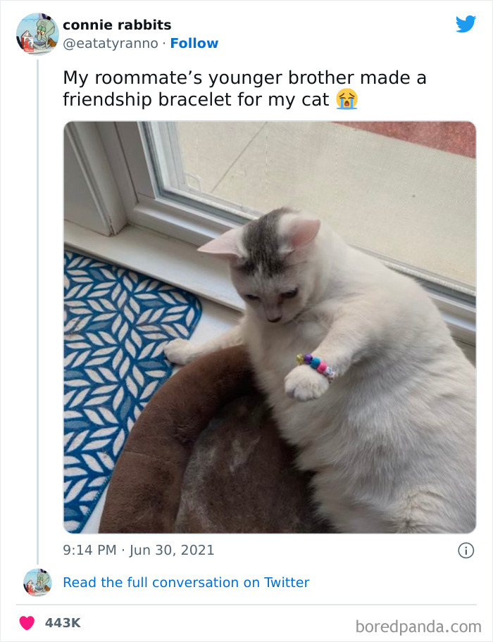 Mischievous-Animal-Memes