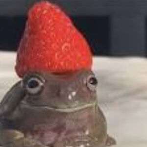 s0ggiiefr0ggiie avatar