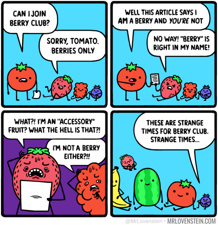 Hilarious-Comics-Mr-Lovenstein