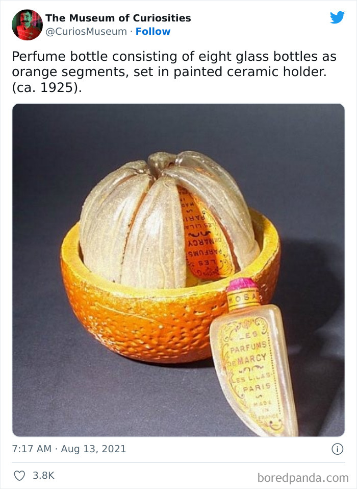 The-Museum-Of-Curiosities