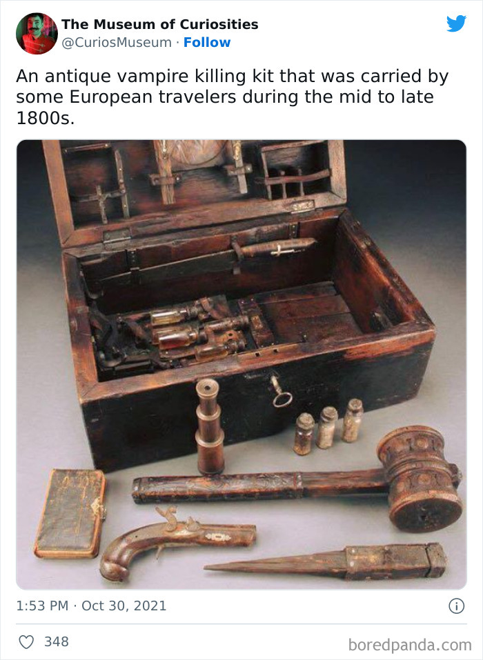 The-Museum-Of-Curiosities