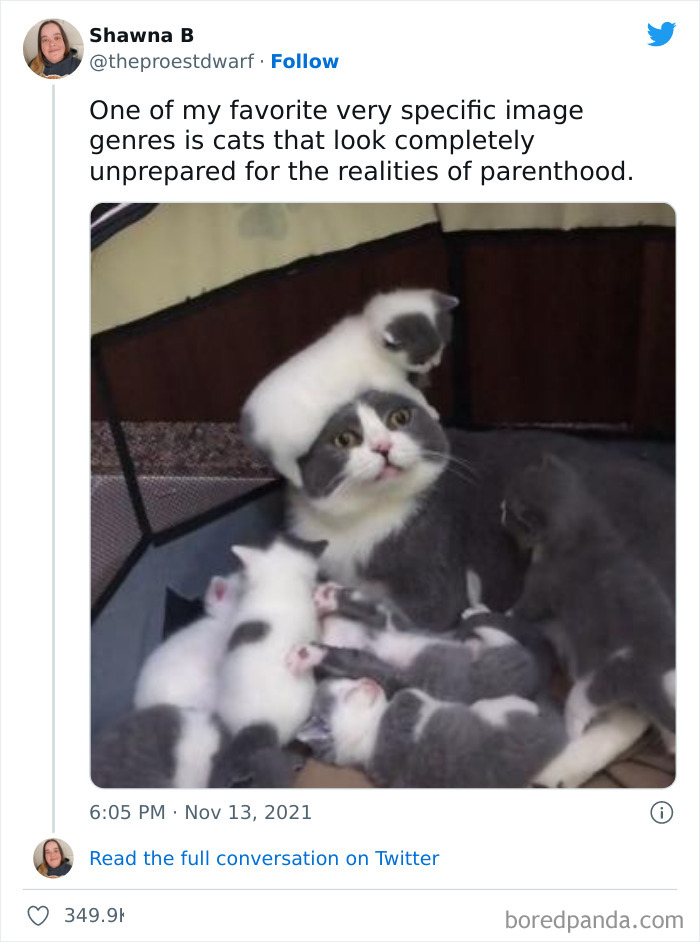 Funny-Best-Worst-Tweets