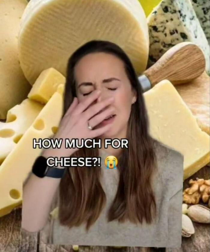 Thenewcomercollective