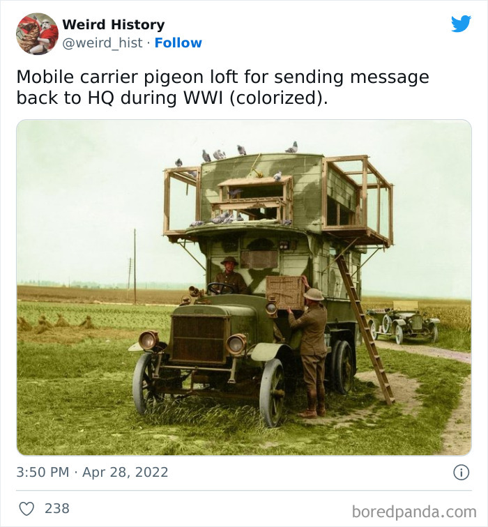 Weird History Tweets