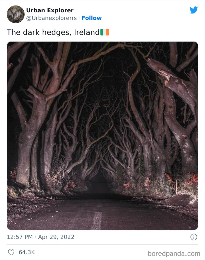 Best-Urban-Explorer-Images