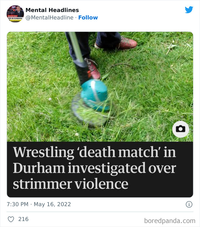 Hilarious-Mental-UK-Headlines