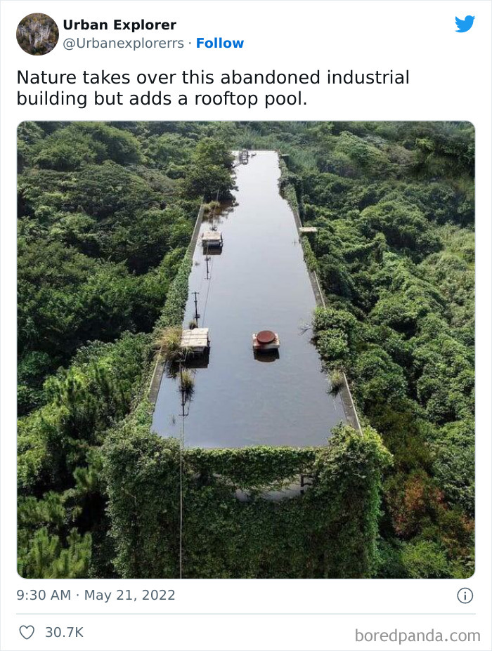 Best-Urban-Explorer-Images