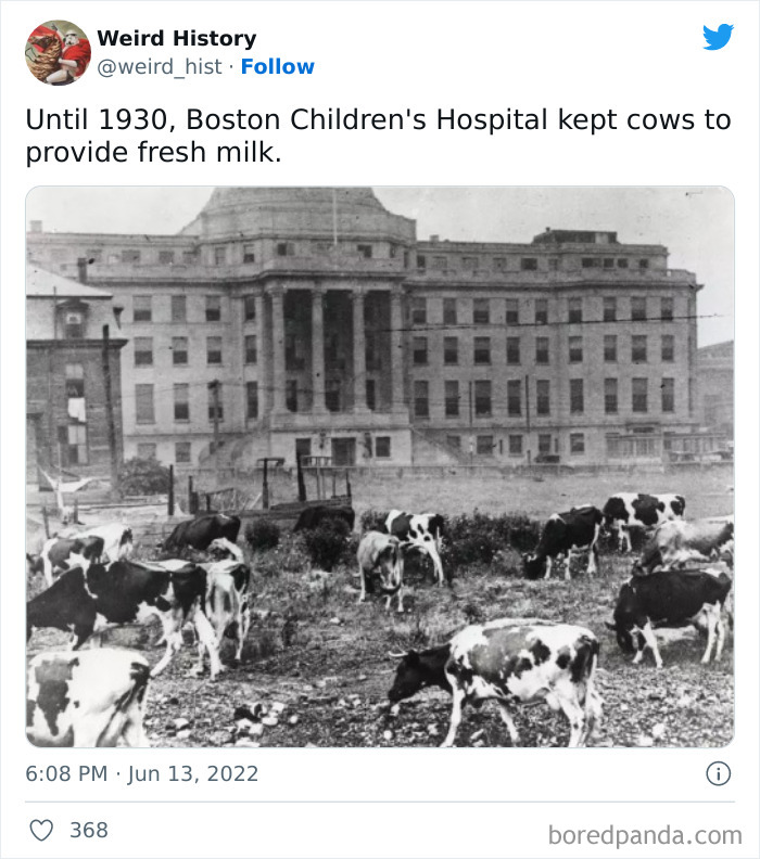 Weird History Tweets