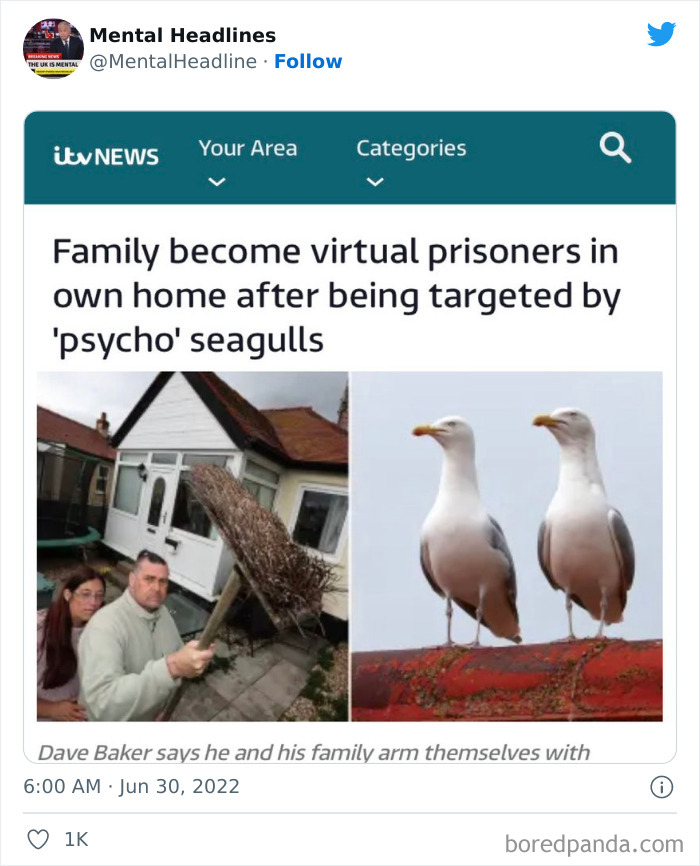 Hilarious-Mental-UK-Headlines