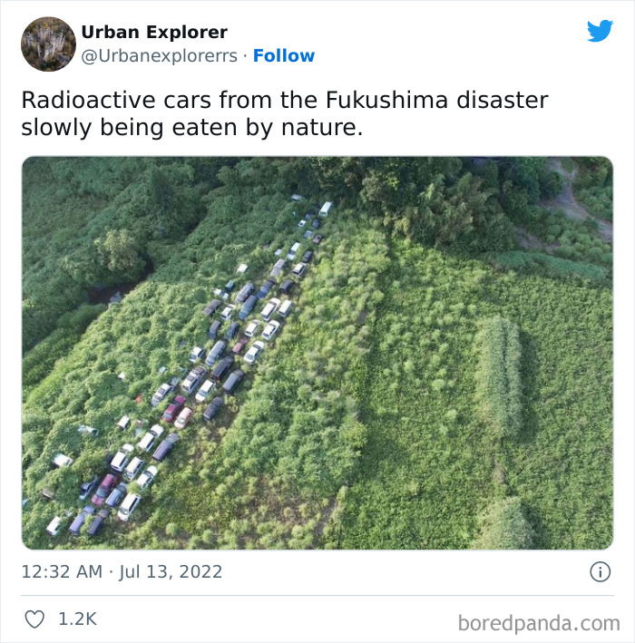 Best-Urban-Explorer-Images