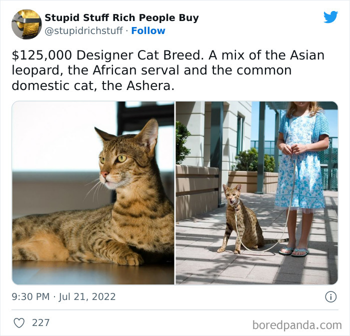 Stupid-Stuff-Rich-People-Buy