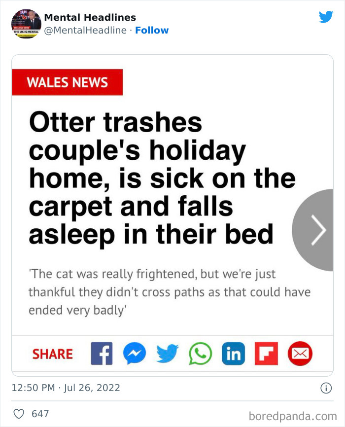 Hilarious-Mental-UK-Headlines