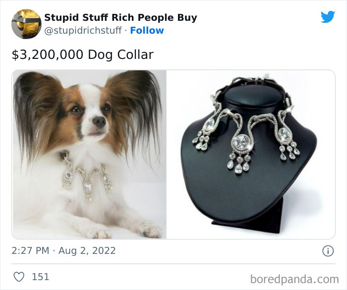 Stupid-Stuff-Rich-People-Buy