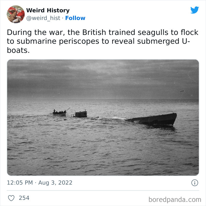 Weird History Tweets