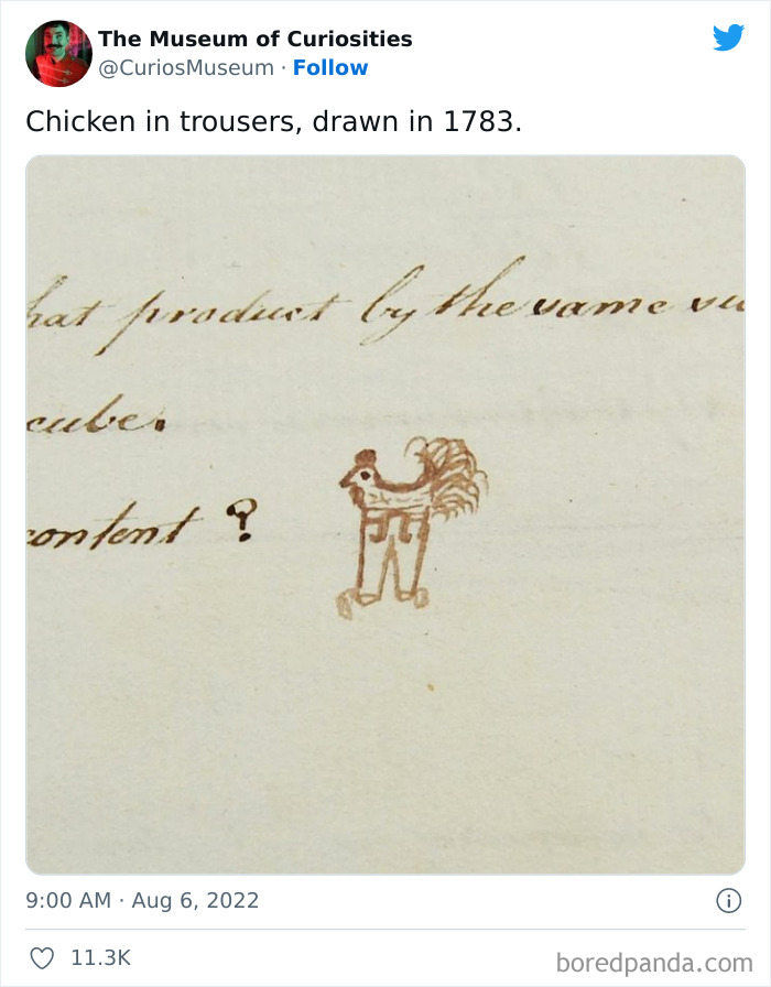 The-Museum-Of-Curiosities