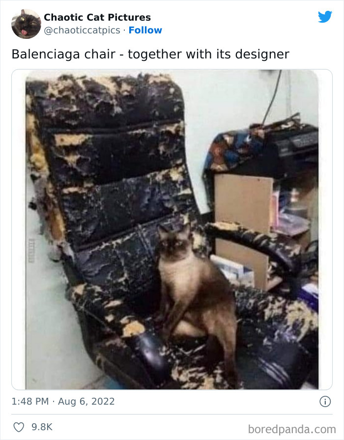 Chaotic-Cat-Pics-Memes
