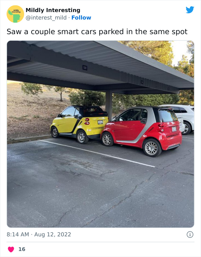 Mildly-Interesting-Post-Twitter