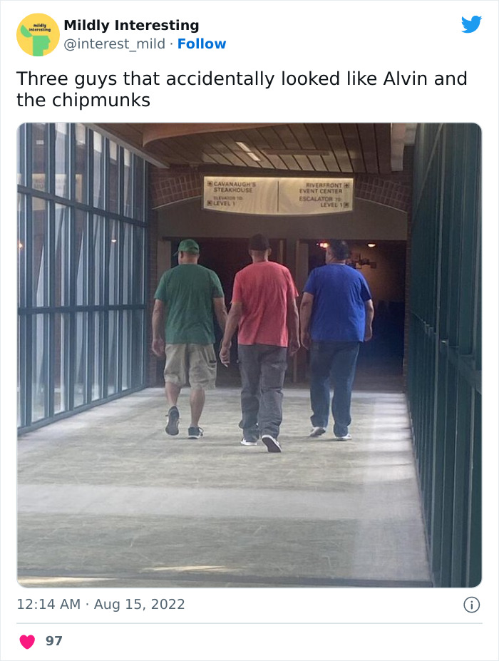 Mildly-Interesting-Post-Twitter