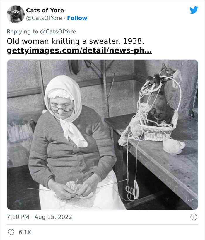 Cats Ruining Stuff Isn&rsquo;t Only A Modern Struggle As It Is Shown In These 24 Pics Through History, Shared By Folks Online