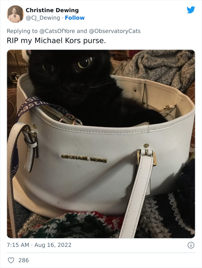 Cats Ruining Stuff Isn&rsquo;t Only A Modern Struggle As It Is Shown In These 24 Pics Through History, Shared By Folks Online